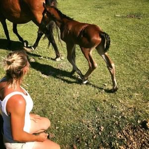 Meet your Posher, Carmen